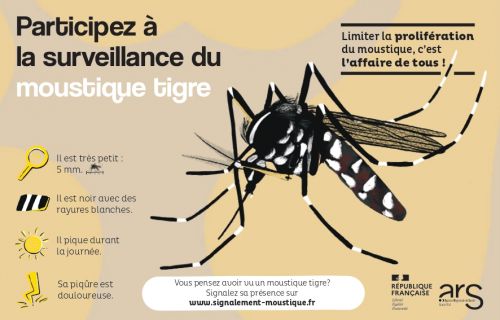 Illustration actualité « Communication moustique tigre - Moselle »